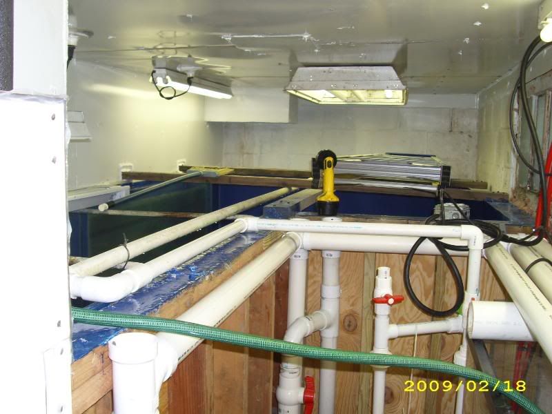 001-2.jpg
