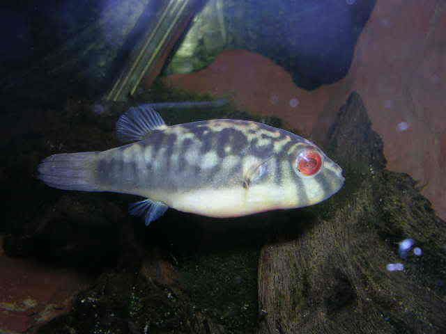 DSCN2690.jpg
