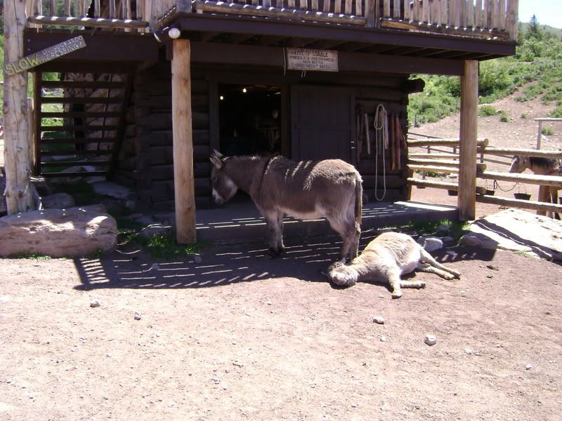 DSC02314.jpg