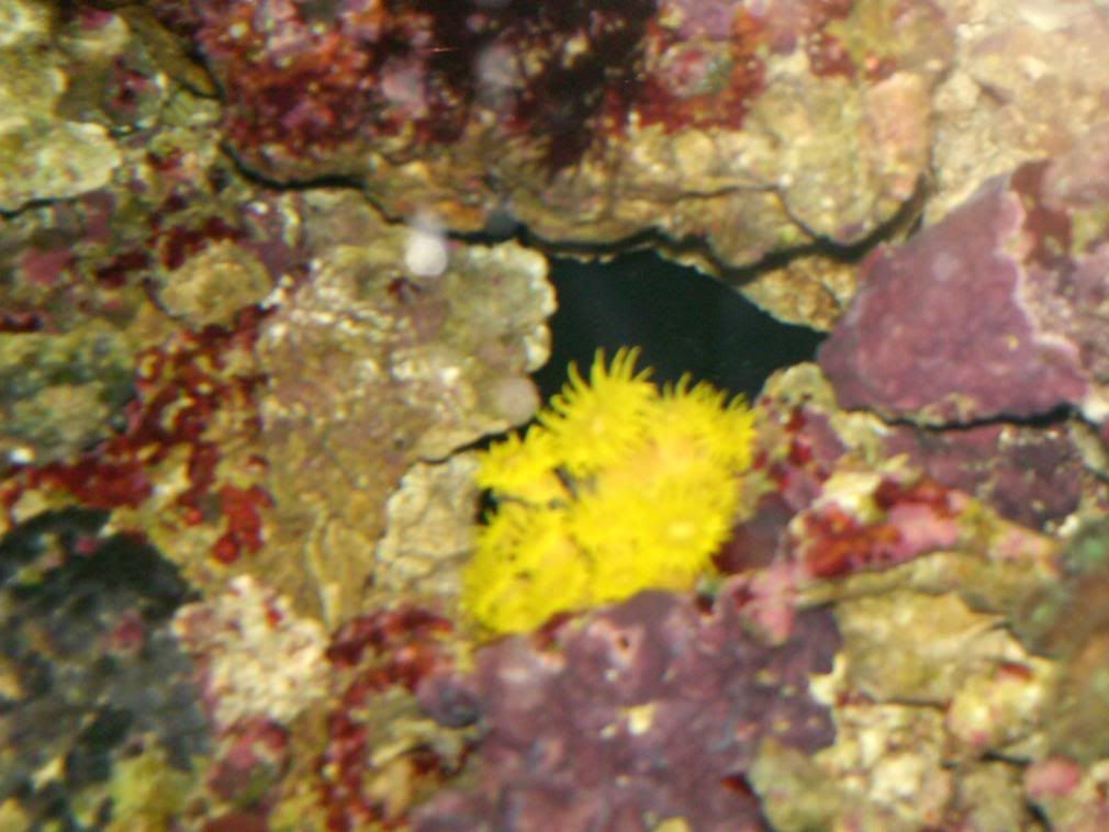 HPIM0550.jpg