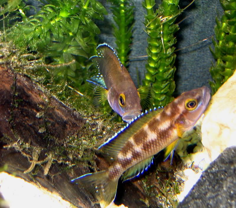 IMG_4680.jpg