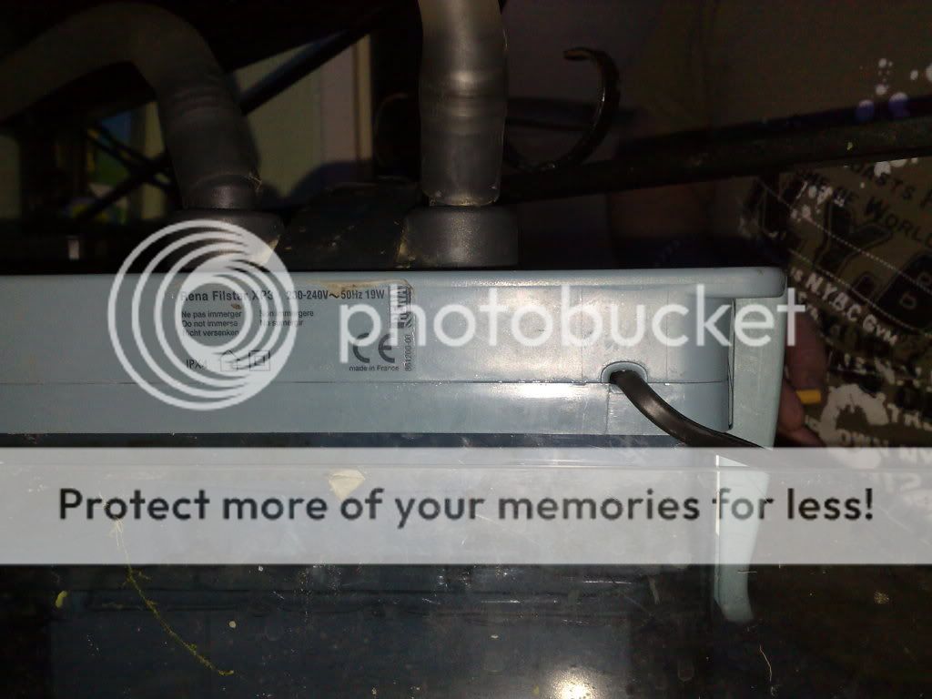 08082009752.jpg