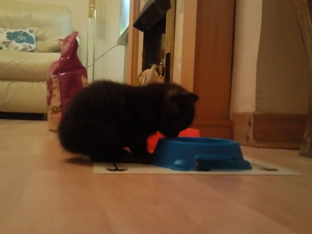 Photo003.jpg