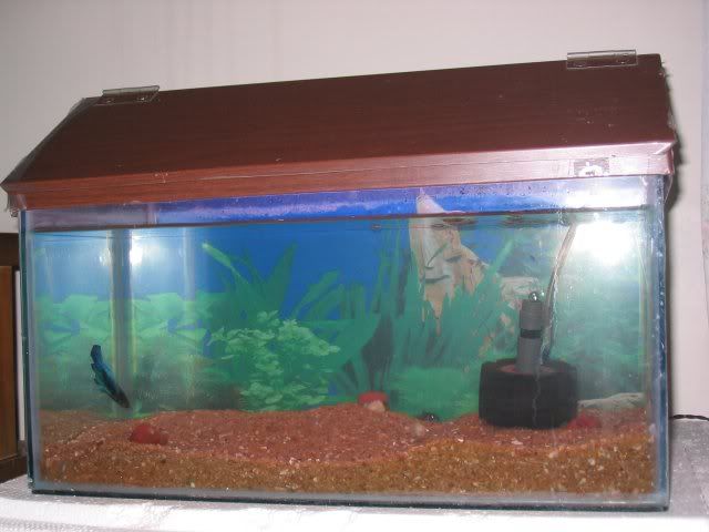 nov_08_2k5_04.jpg