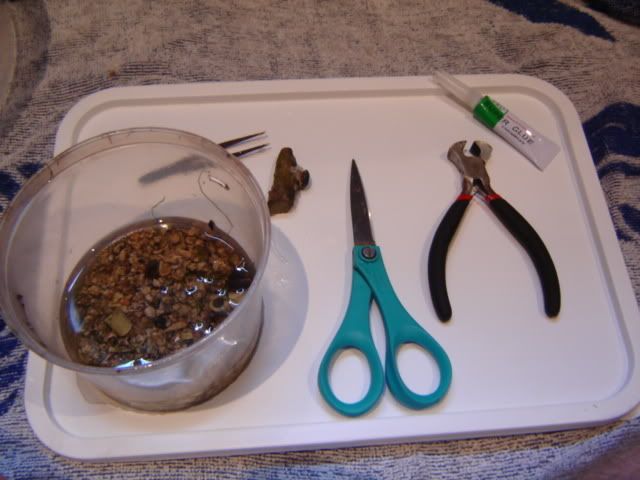 DSC05793.jpg