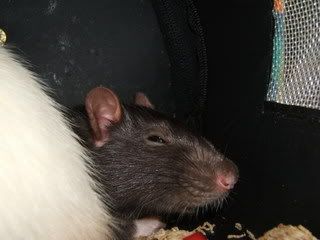 DSCF2855.jpg