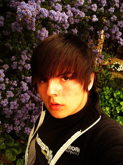 blueflowers.jpg