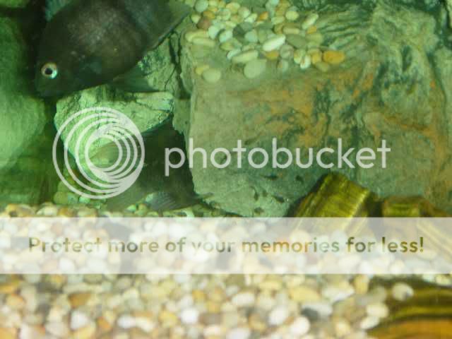 DSC01841edit.jpg