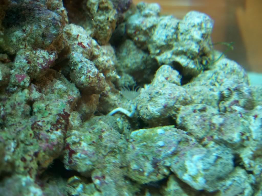100_1057.jpg