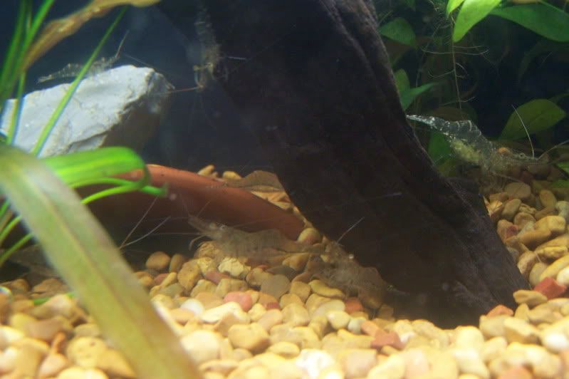 100_7706.jpg