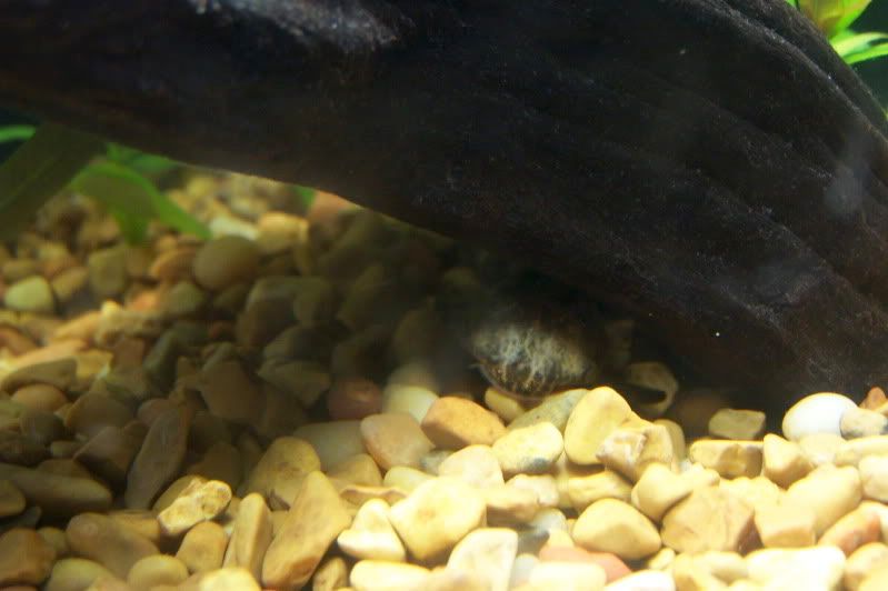 100_7629.jpg