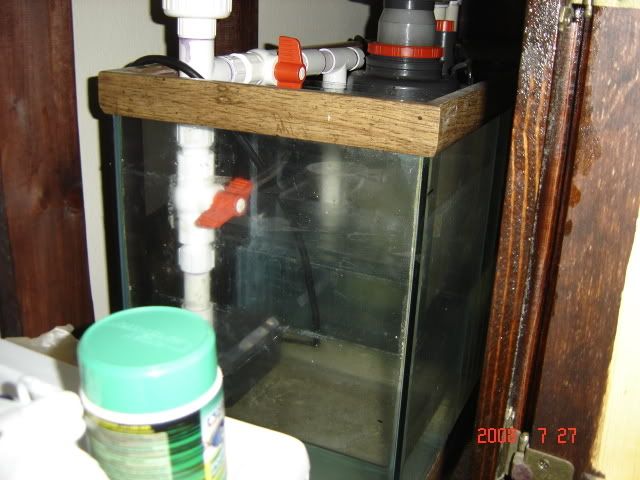 DSC06991.jpg
