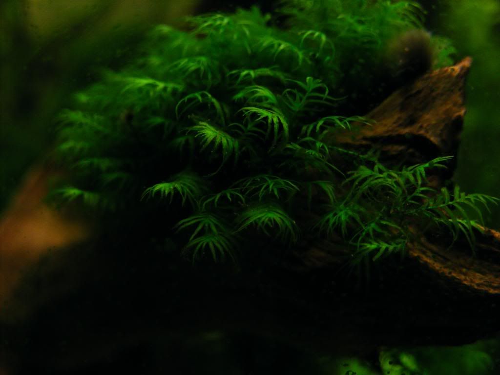 DSCF0506.jpg