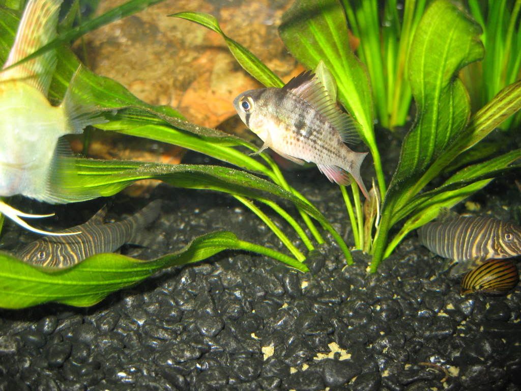 IMG_0388.jpg
