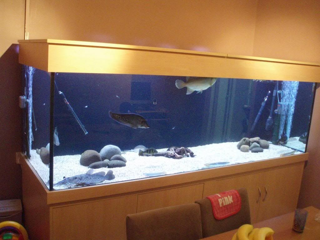 Picture607.jpg