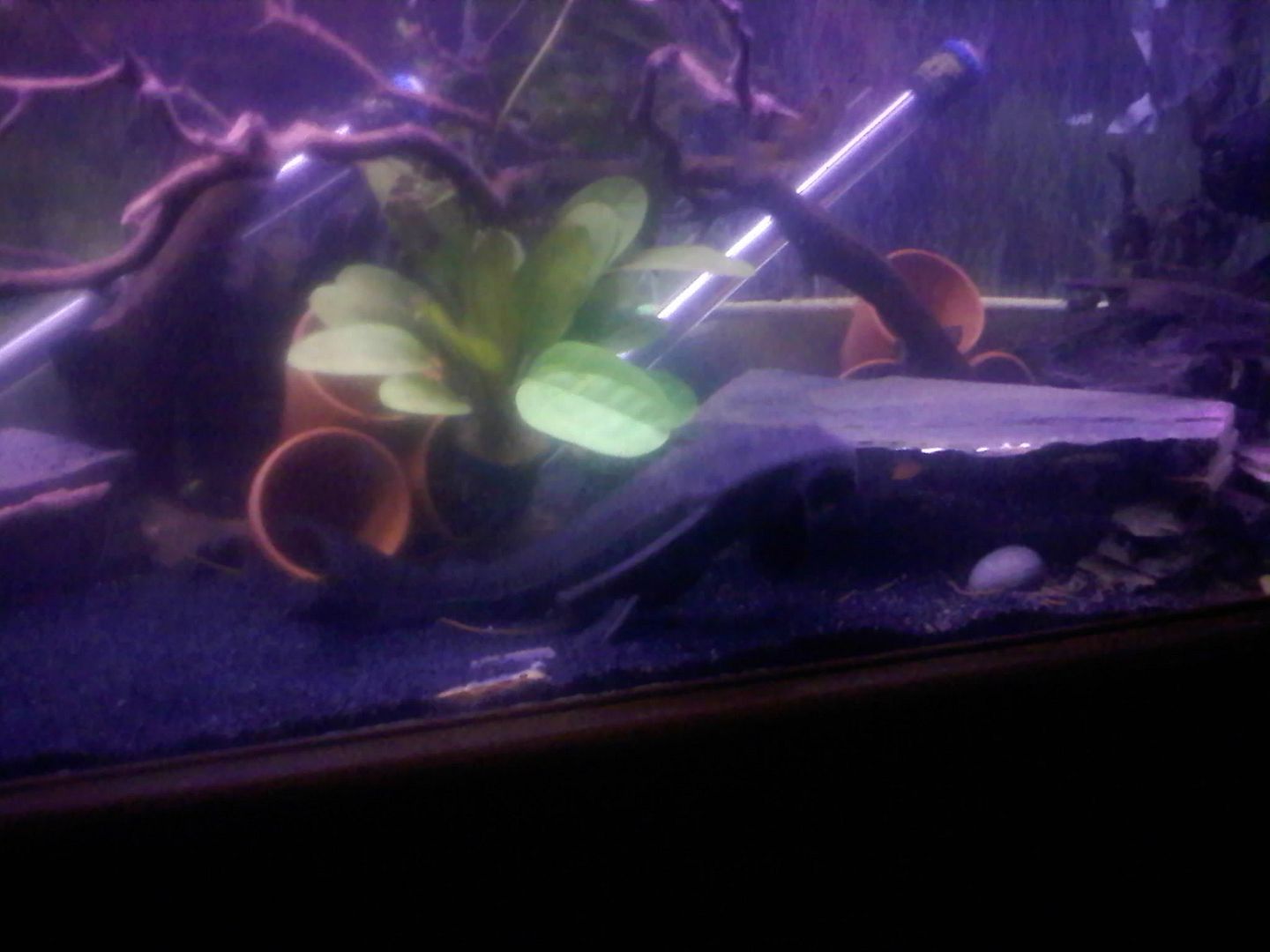 0520090108.jpg