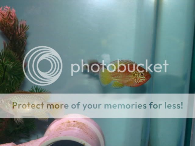 DSC01404.jpg
