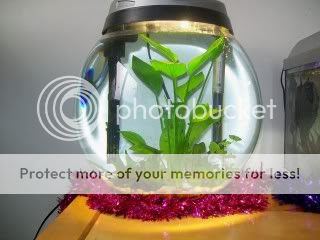 100_0153.jpg