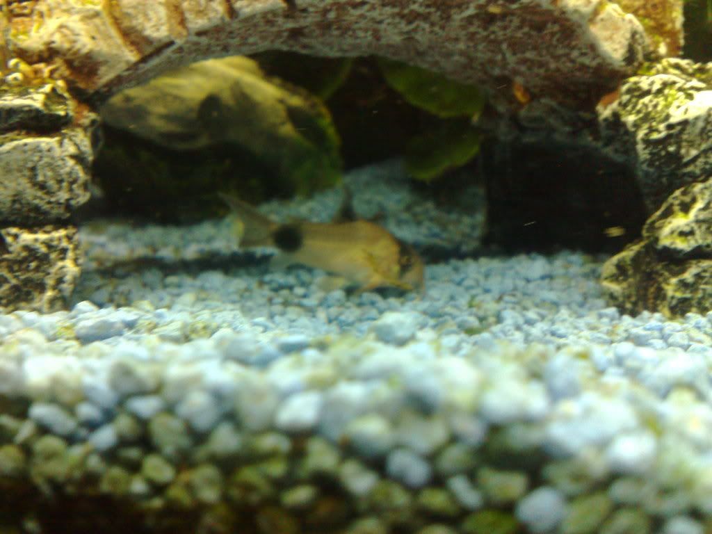 28042008016.jpg