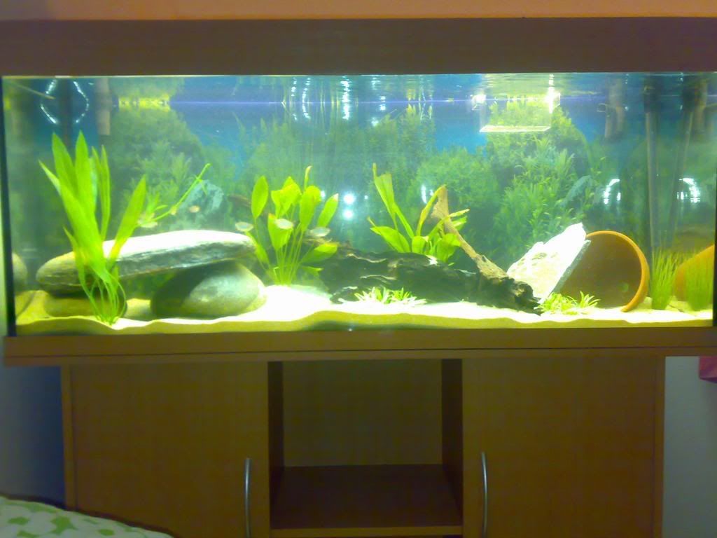 04022008214.jpg