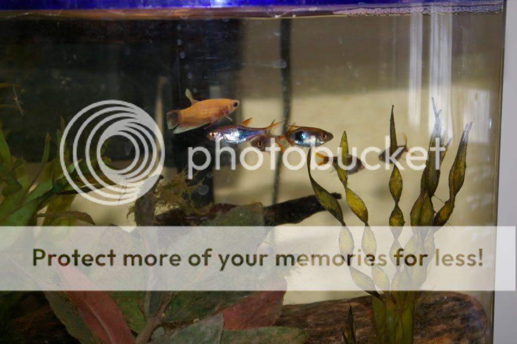IMGP1089.jpg