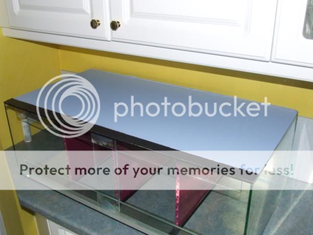 DSCF2439.jpg