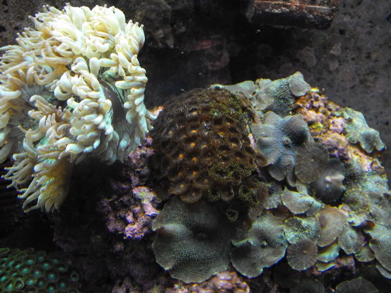 2008_0829second0009.jpg