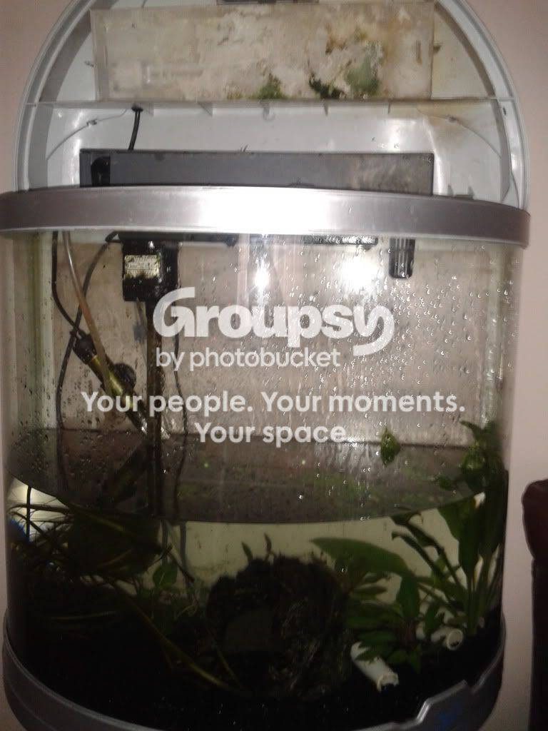 2011-12-24131230.jpg