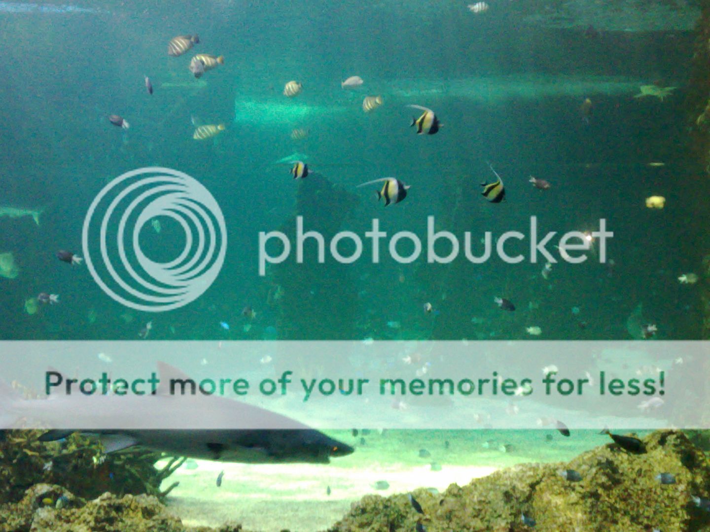 23082008082.jpg