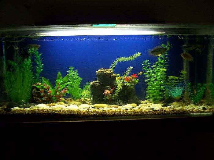 100_1710.jpg