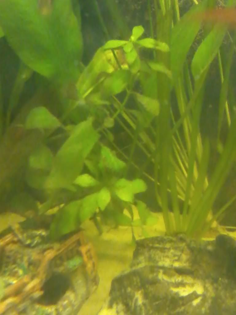 2011-01-12180649-3.jpg