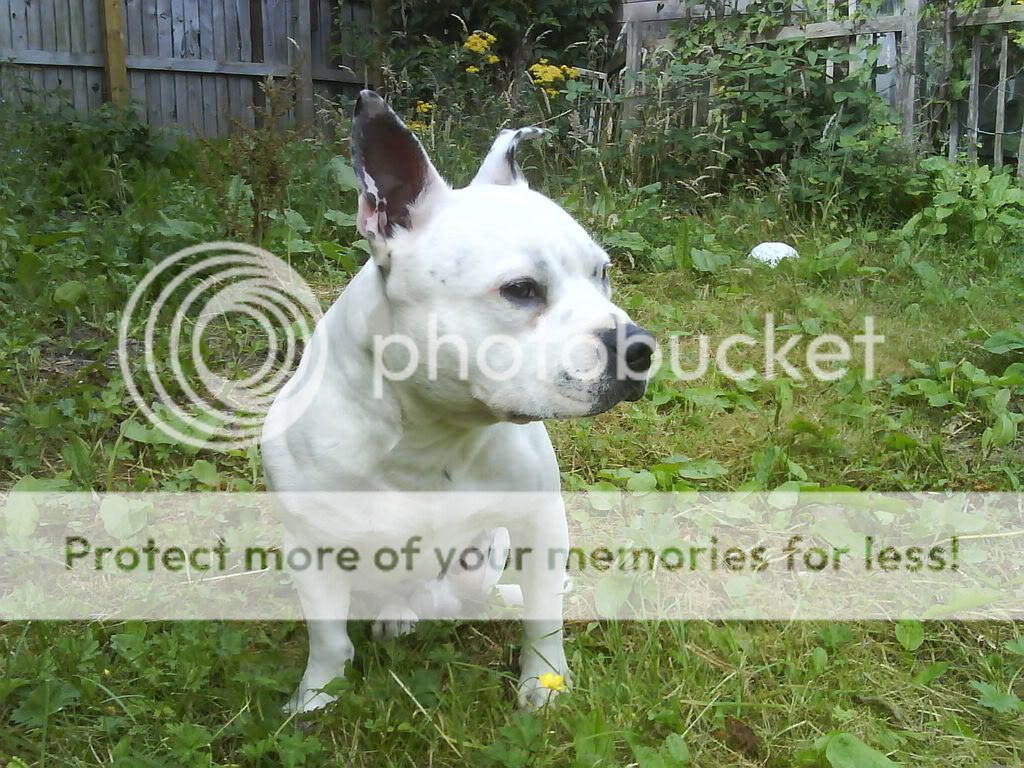DSC00075.jpg