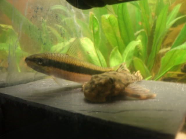GEDC0927.jpg