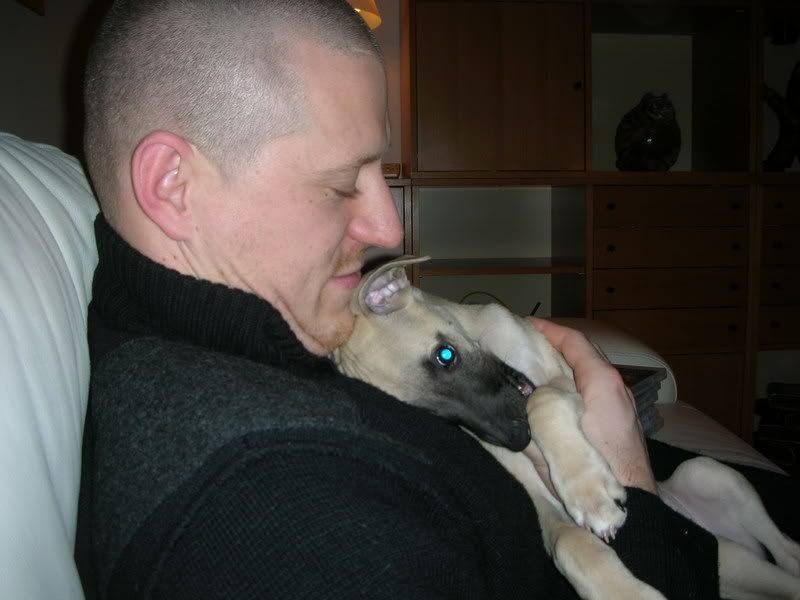 aidie008.jpg