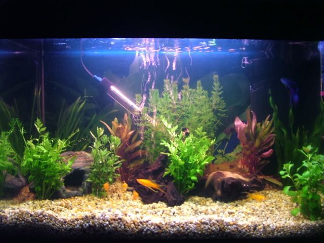 DSCF4533.jpg