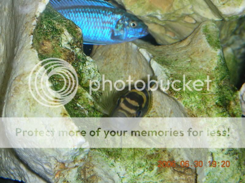 DSCN1081.jpg
