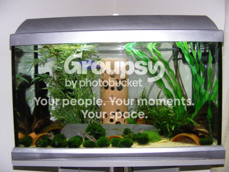 DSCF2562.jpg