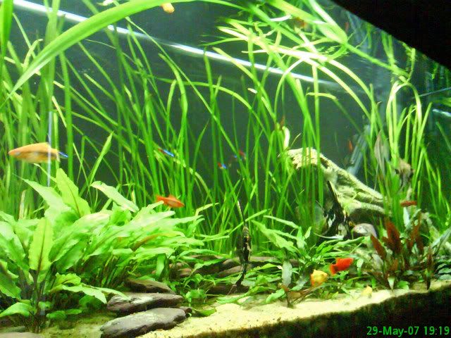 DSC00021.jpg