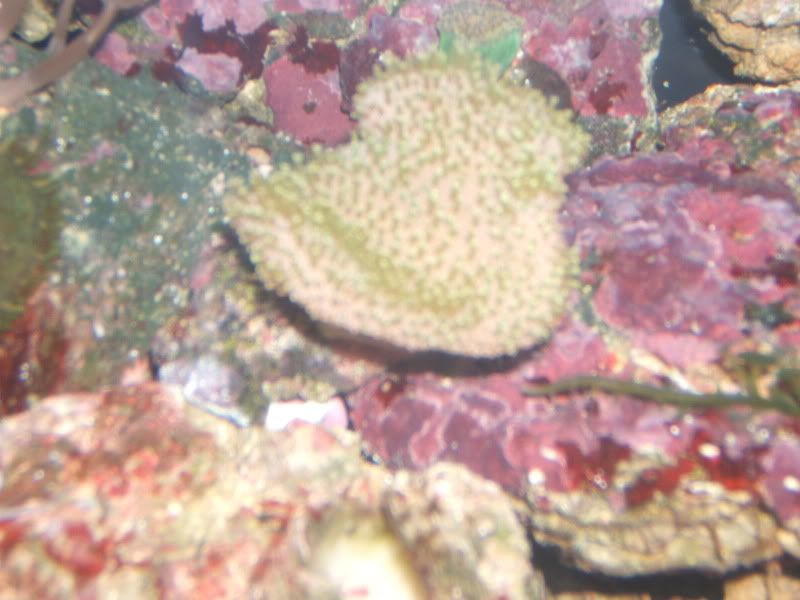 DSCF1485.jpg
