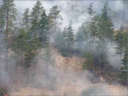 forestfire.jpg
