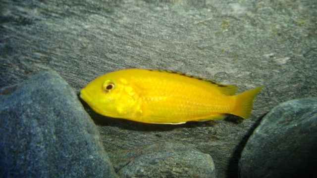 DSC02989.jpg