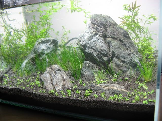 20090329014.jpg