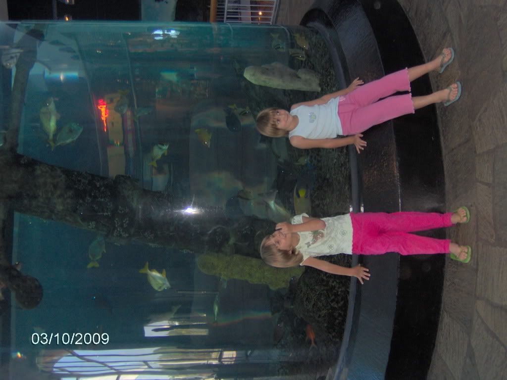 beackoct09024.jpg