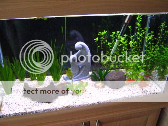 009-9.jpg