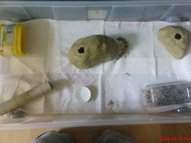 DSC00688.jpg