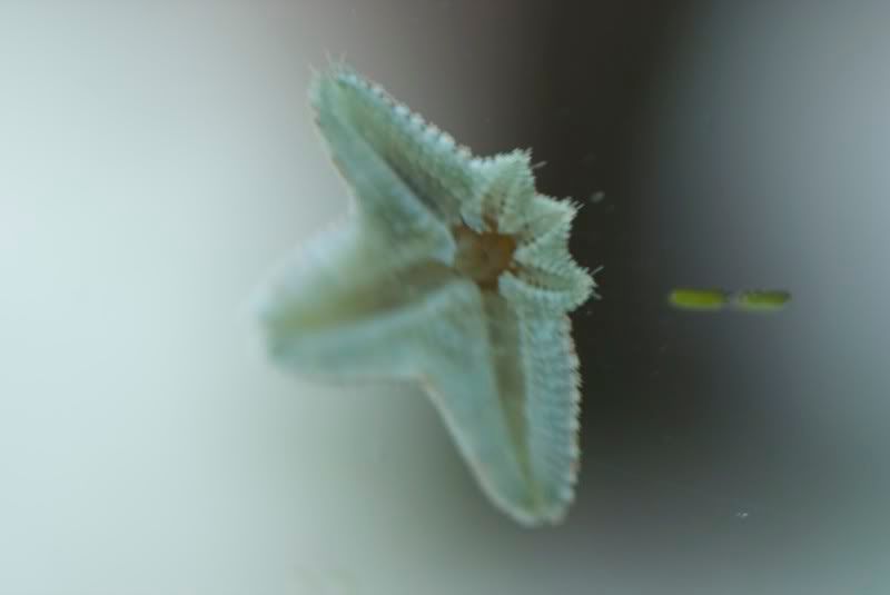 DSC_6977.jpg
