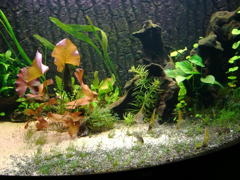 IMAG0032-3.jpg