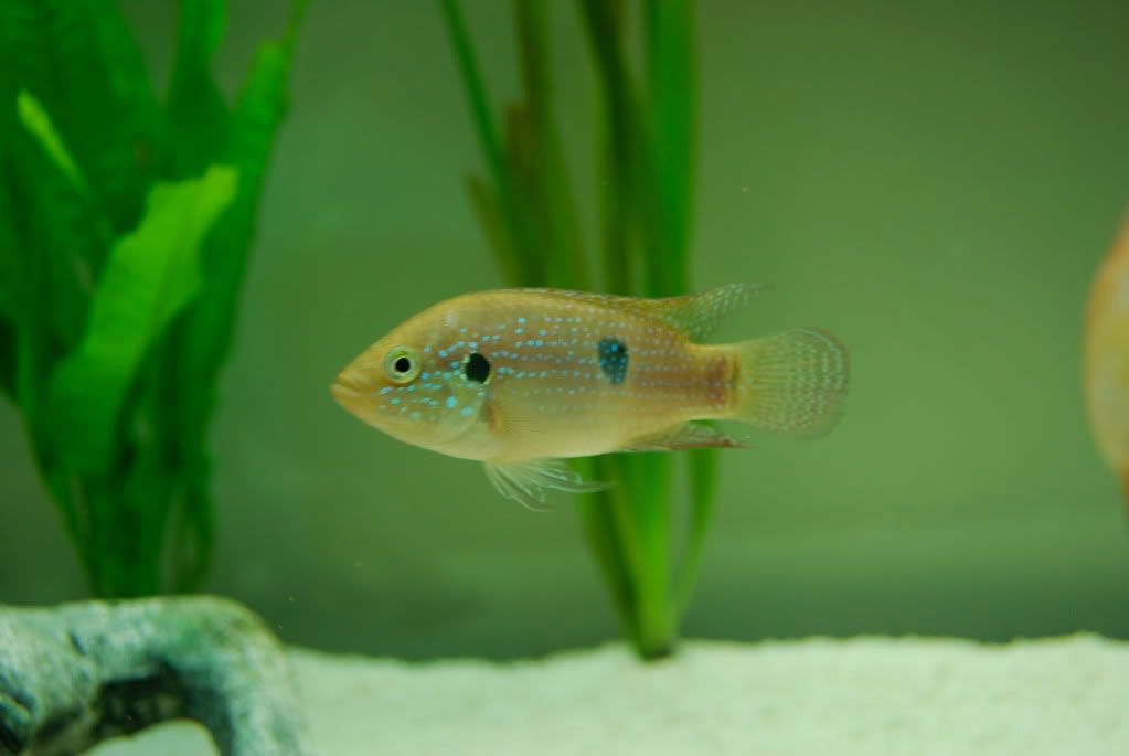 DSC_0032.jpg