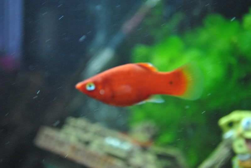 DSC_0469.jpg