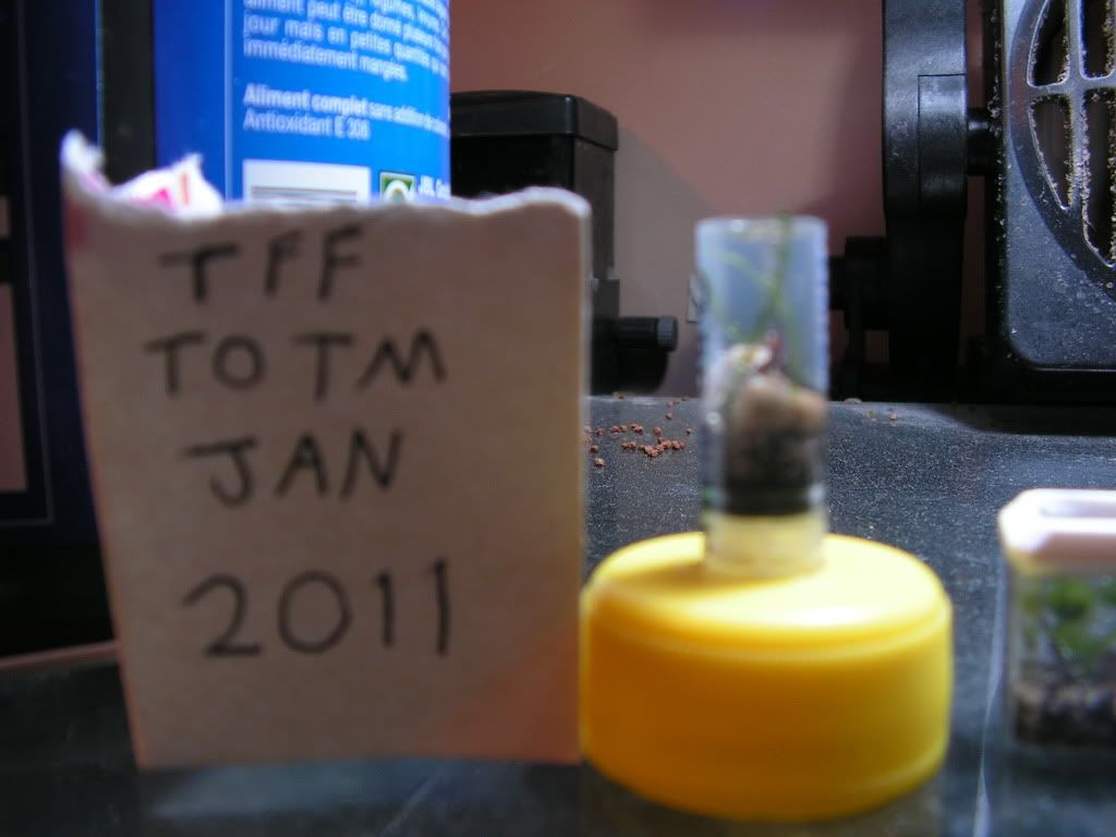 PICT1119.jpg